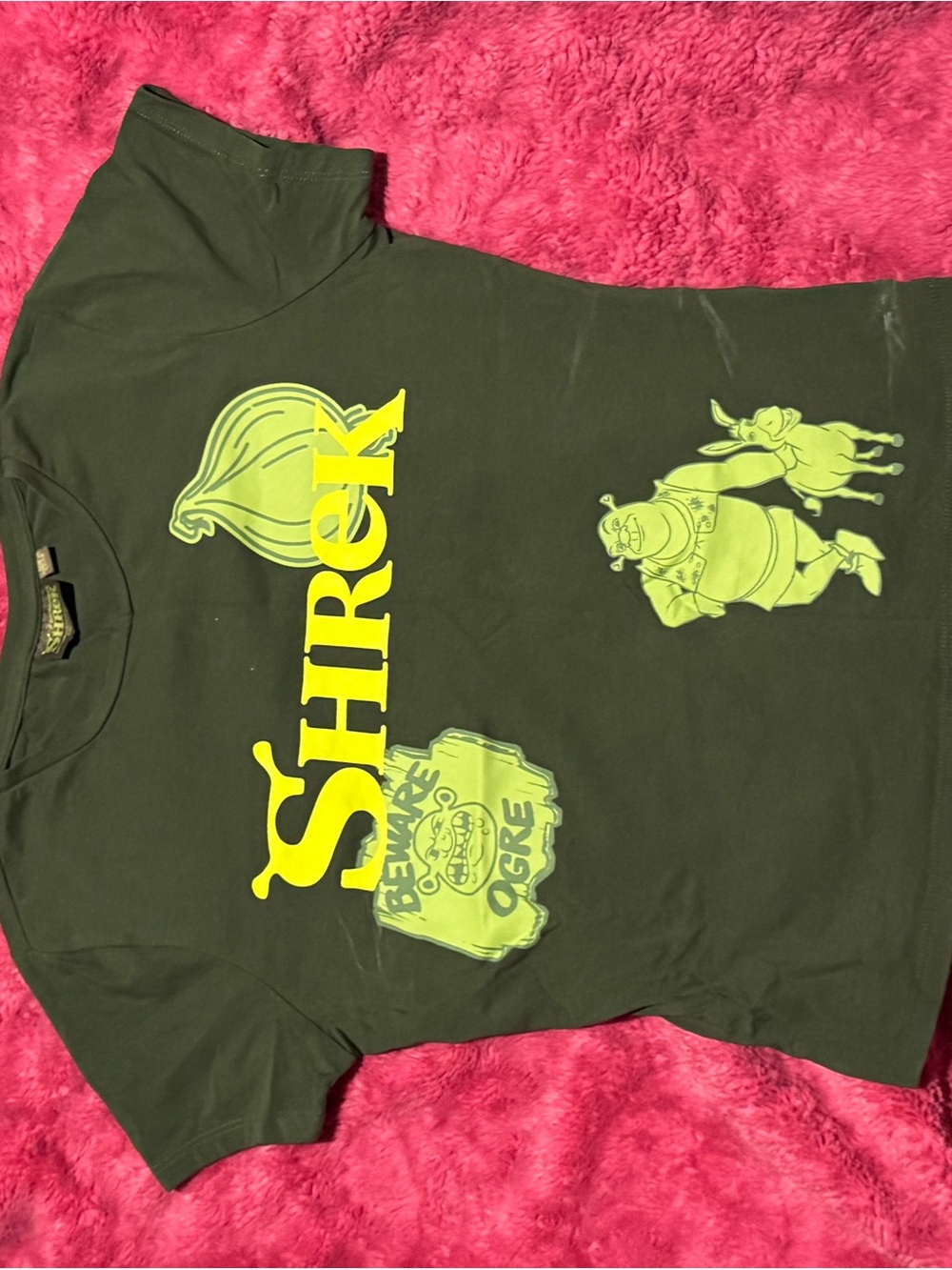Shrek Graphic Kids Short Sleeve Tee in Dark Green